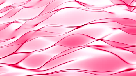 abstract red wave in the slow motion on the white background