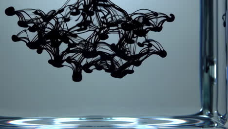black ink diffusion in water