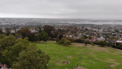 people playing with dogs at kate sessions park during cloudy san diego day