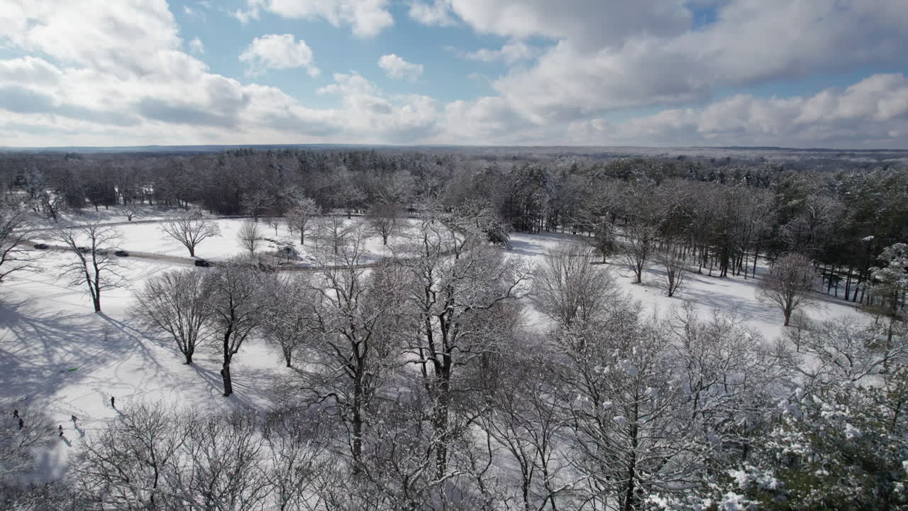Vista aerea di bellissimi alberi coperti di neve in un parco locale nel Rhode Island.