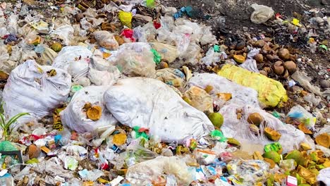 pile of mixed garbage, with plastic bags, food waste, and assorted trash