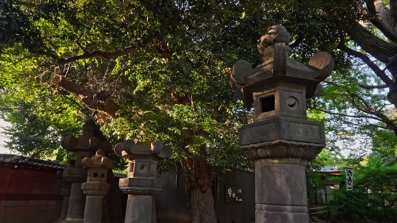 Golden hour sunlight gently illuminates ancient stone lanterns nestled among lush green trees in a serene Japanese garden, evoking a peaceful and traditional atmosphere.