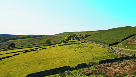 Yorkshire-farm,-with-green-fields-grazing-sheep,-dry-stone-walls-and-a-typical-country-farmhouse