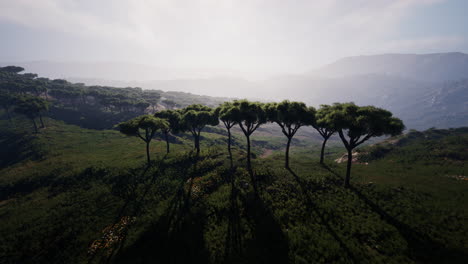 Aerial-panorama-view-To-Mago-National-Park