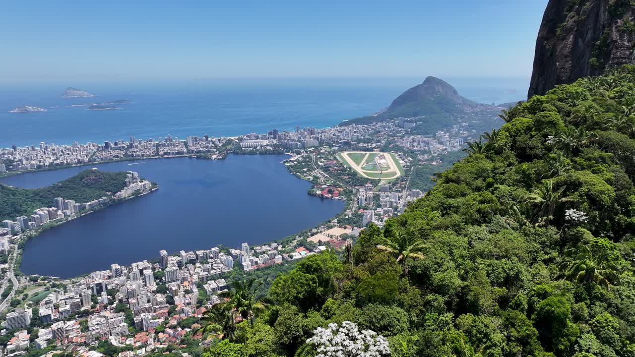 대서양 숲 브라질