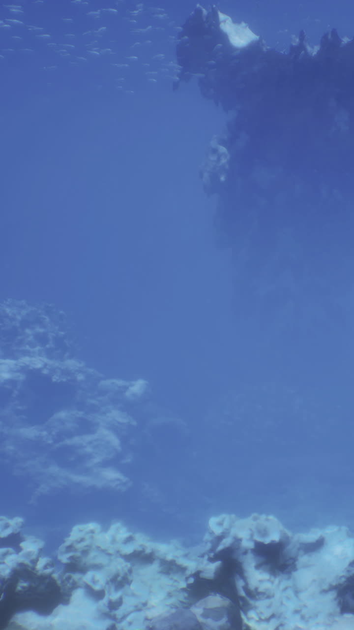 Esplorando una barriera corallina sott'acqua con acqua blu limpida e vita marina.