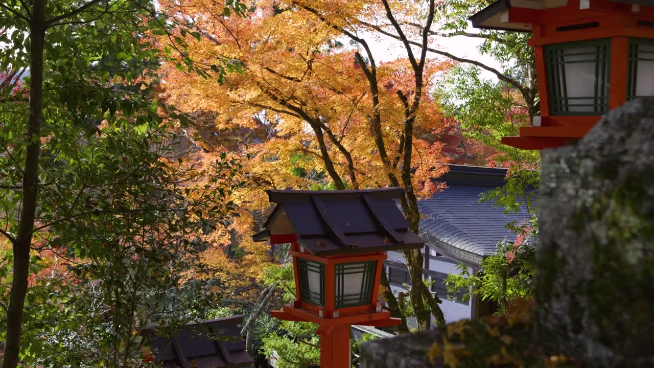 hermosas linternas rojas en el santuario japonés durante los colores de otoño