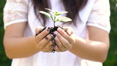 mujer que sostiene el brote de la planta y se mueve hacia la cámara