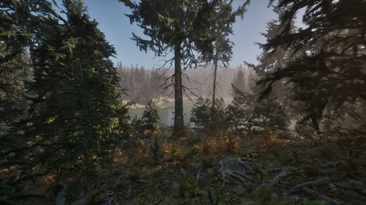 río brumoso en un bosque de coníferas