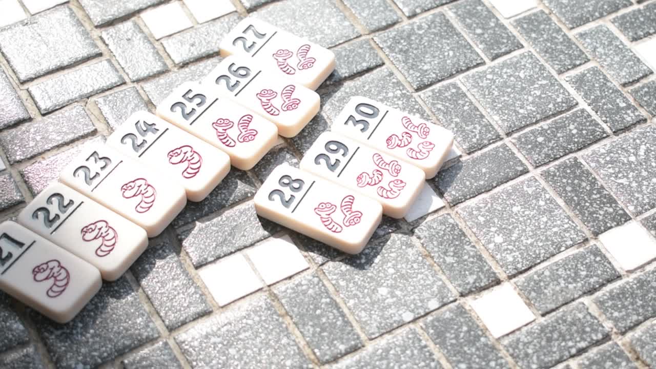 피코미노 게임 에서 도미노 타일을 내려 놓는 것