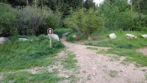 Ausgangspunkt-Des-Tanglewood-Trail-Am-Fuße-Des-Mt