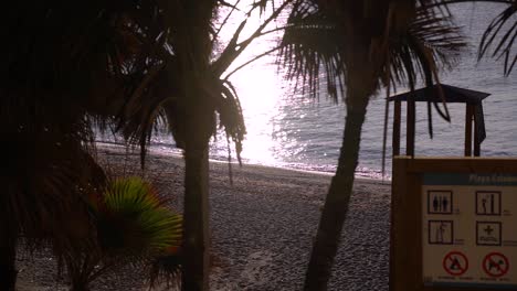 hermosa vista temprano en la mañana con palmeras en la playa con un océano brillante