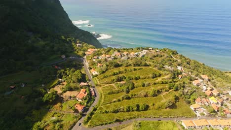 green vineyards on hill in madeira island on beautiful sunny day