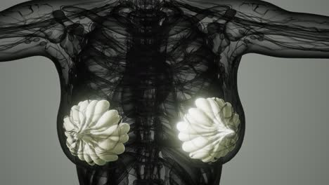exploración médica del cáncer de mama de la mujer