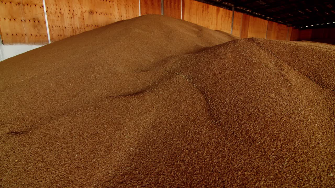 Large Pile of Grain in Storage Facility