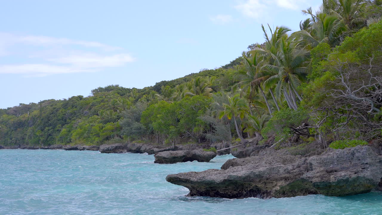 costa rocosa con aguas azules y palmeras