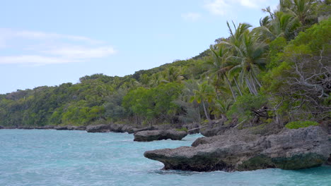 Felsküste-Mit-Blauem-Wasser-Und-Palmen