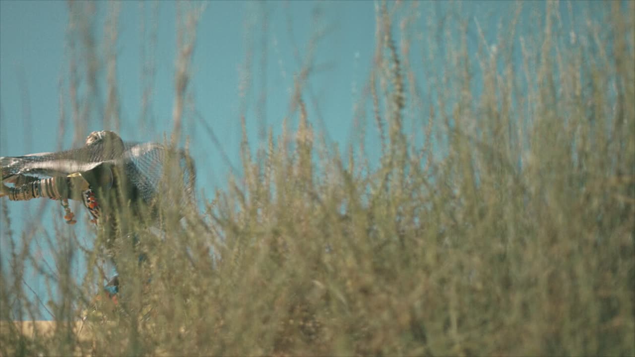 mujer gitana bailando en un día ventoso de dunas de arena del desierto