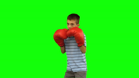 Little-boy-with-boxing-gloves-boxing-on-green-screen