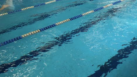 swimming competition in pool lanes