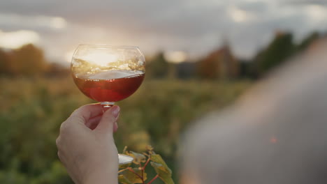 una mujer sostiene un vaso de vino tinto en los rayos del sol poniente. se para cerca de la viña