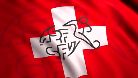 swiss flag jersey with logo