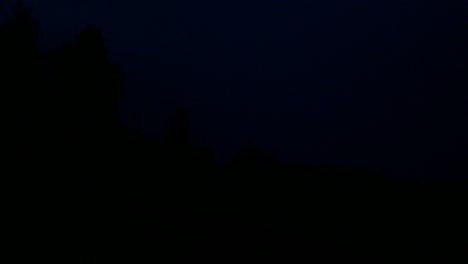 lightning over a deciduous forest at night