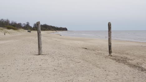 wooden poles on sandy coastline of baltic sea on moody day