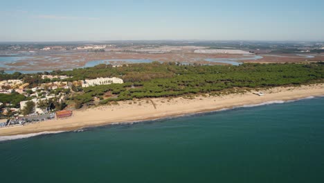 vista aérea a través de isla canela, huelva largo tramo de bosques costeros en el suroeste de españa