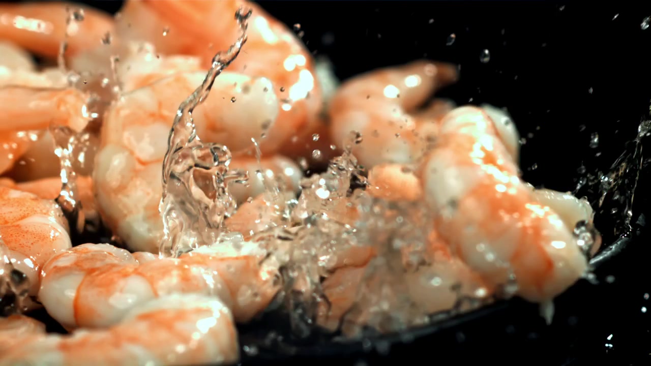 Friske rejer, der sprøjter med vand i slowmotion