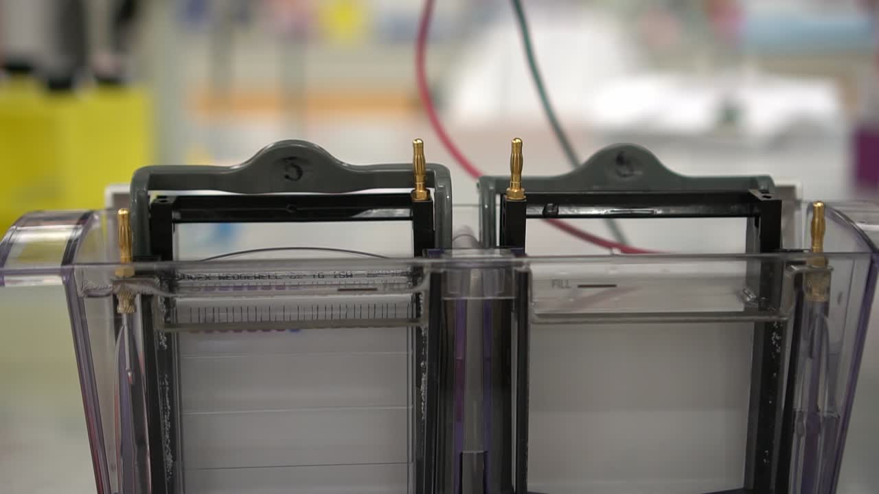 Scientist puts a lid on a western blot chamber late at night