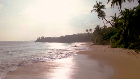 Vogelperspektive,-Filmische-Drohnenaufnahmen-Von-Meereswellen,-Die-Auf-Den-Von-Kokospalmen-Umgebenen-Strandsand-Krachen-–-Sri-Lanka