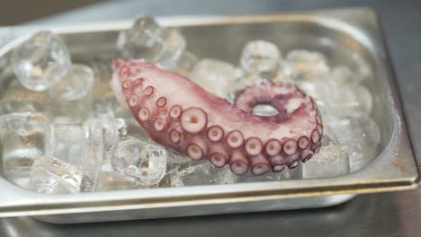 a piece of octopus on ice cubes