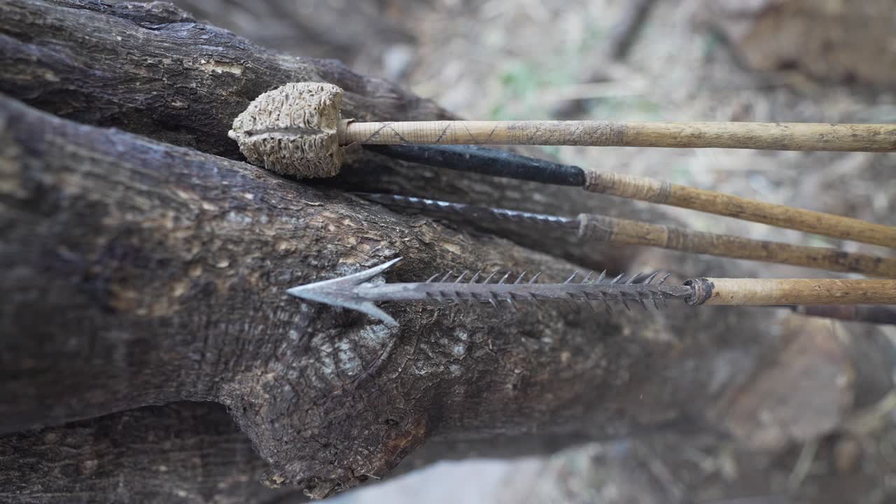 탄자니아, 아프리카, 부시맨 사냥 4k에서 아프리카 부족의 사냥 사용을 위한 전통적인 화살과 무기