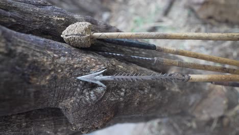 Traditional arrows and weapons for hunted use of an African tribe in Tanzania, Africa, Bushmen hunt 4K