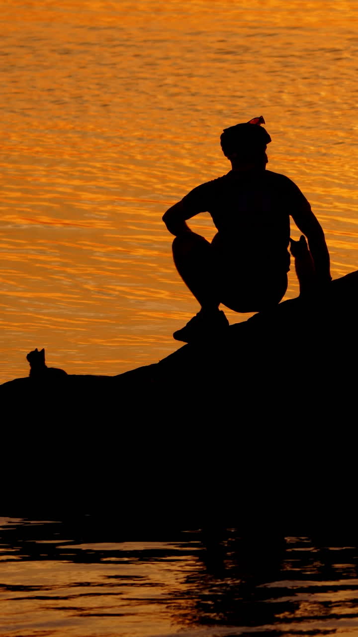 Black silhouettes of a man and cats near the river. Golden background of evening sunset and a male silhouette sitting on the stone surrounded by water. Vertical video