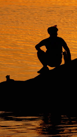 black silhouettes of a man and cats near the river. golden background of evening sunset and a male silhouette sitting on the stone surrounded by water. vertical video