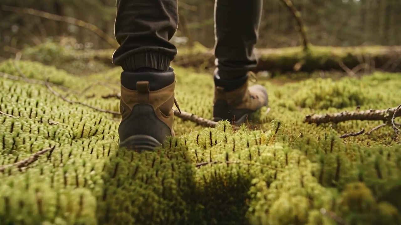 Stepping hiker cuffed dark pants, tan hiking boots compressing mossy ground while moving in woods