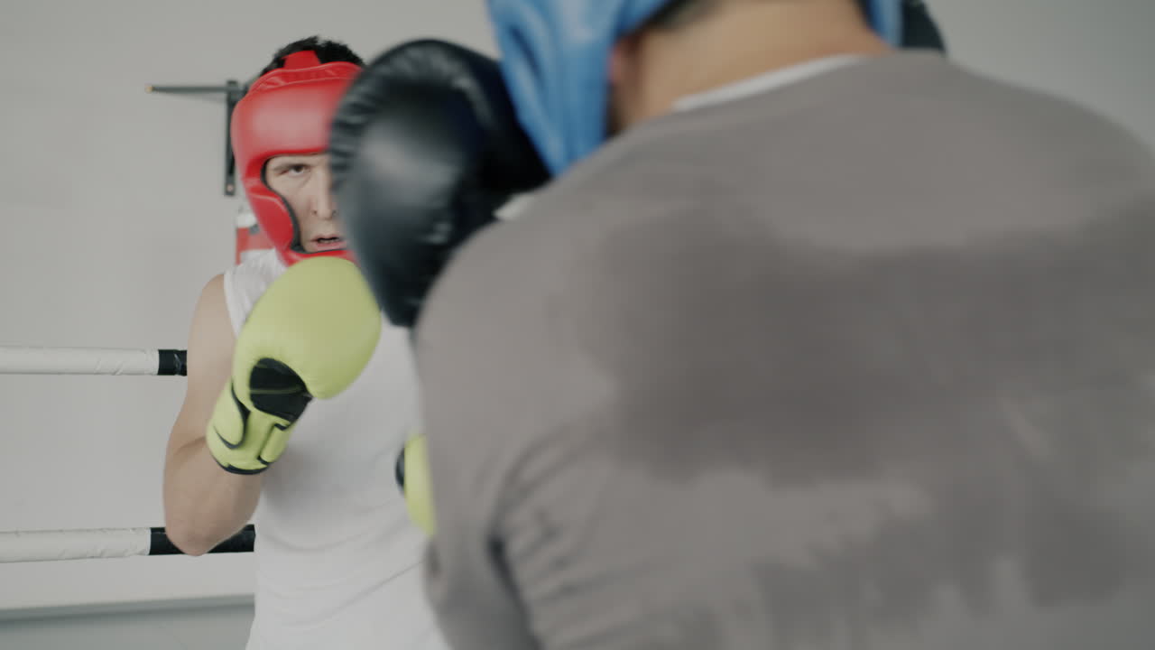 권투 훈련 세션