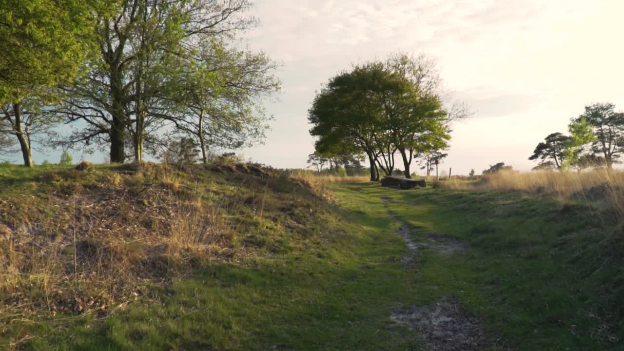 tranquilo sendero junto al lago en primavera