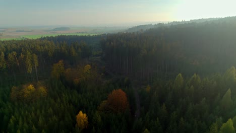 Forested-hilly-landscape-at-sunset