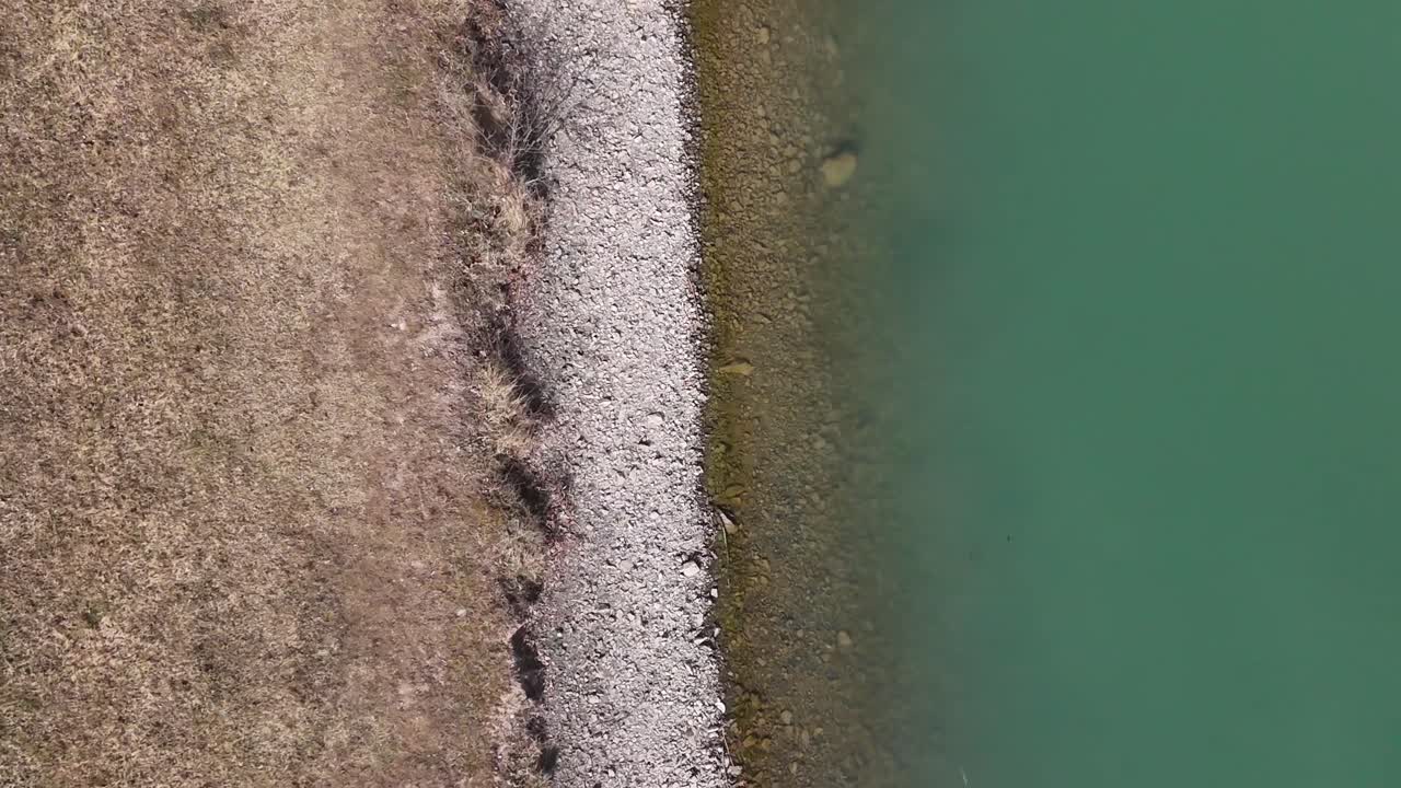 fotografía de drones de arriba hacia abajo de la orilla del agua y la orilla con el sobrevuelo de aves