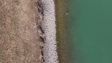 Drohnenaufnahme-Von-Oben-Auf-Wasserkante-Und-Ufer-Mit-Vogelüberflug