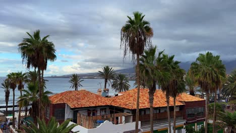 vista tropical desde el balcón, la palmera y las cabañas de la playa los cristianos de tenerife