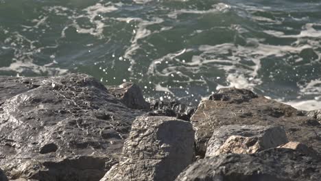 view of waves breaking on reef and rocks 4k uhd