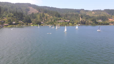 aerial - sailboats during a regatta in lake vichuquen, chile, wide shot backward