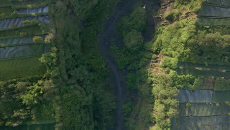 disparo de drone en el aire moviéndose hacia adelante siguiendo el valle