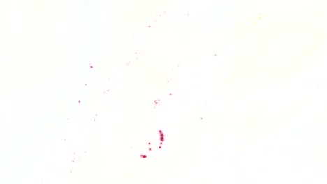 colorful stains on white background