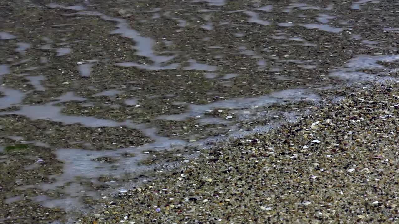 해변에서 물이 움직이고 있습니다.