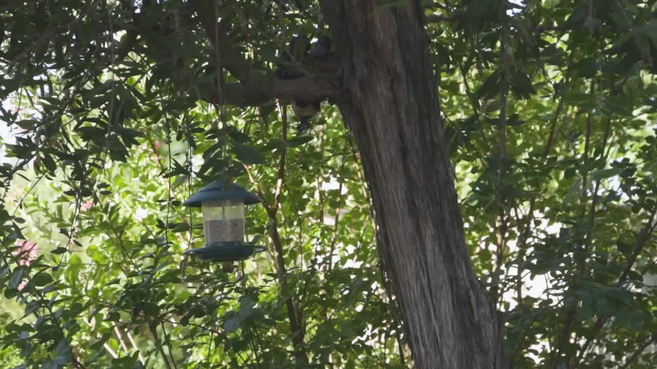 앉아 먹는 작은 다채로운 음식